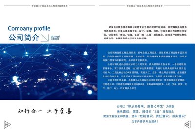 武漢眾咨信息技術(shù)有限公司 信息技術(shù)咨詢服務(wù)的典范與實踐